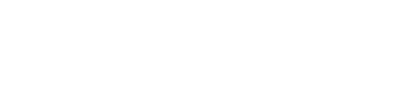 Logo playtoon!